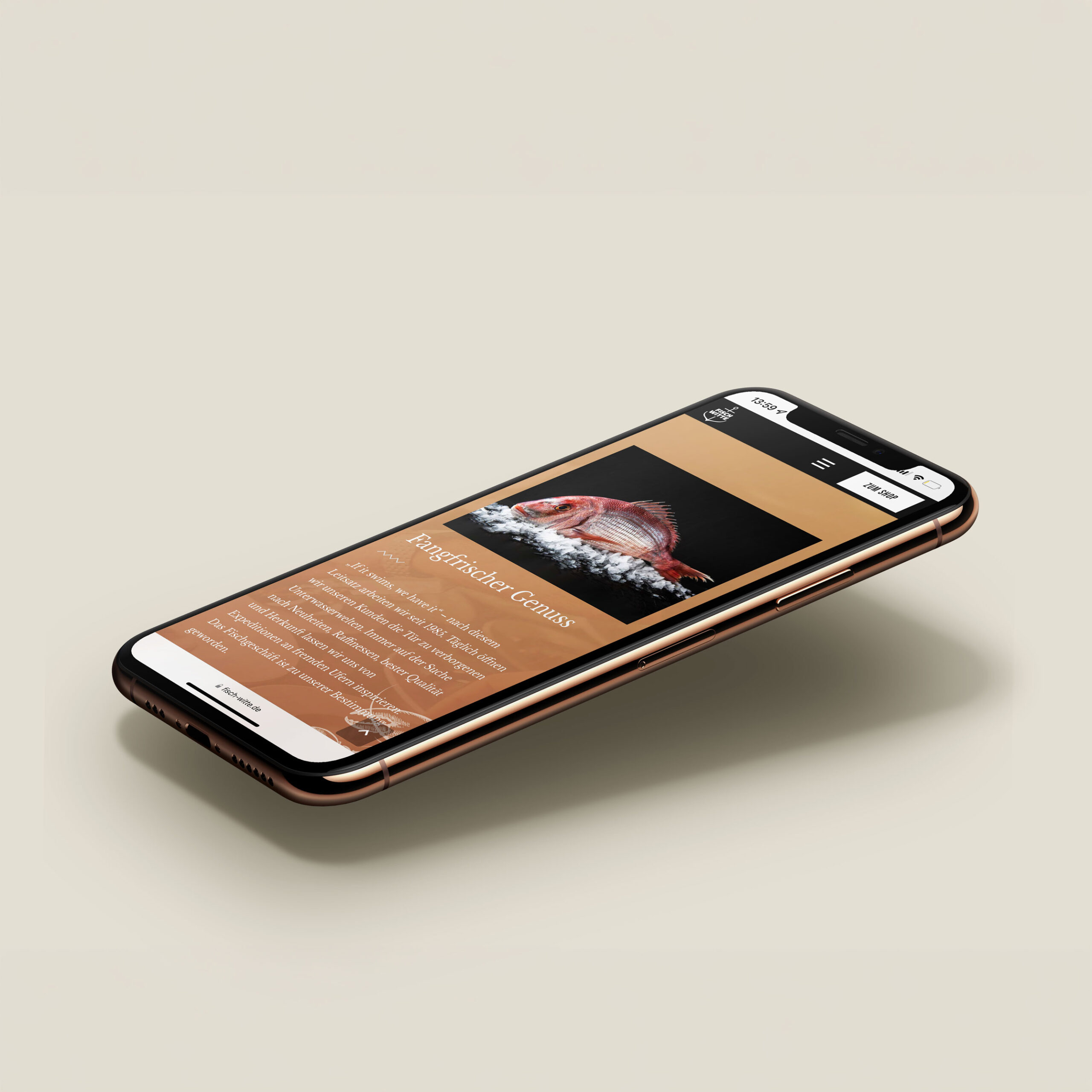 Smartphone mit mobiler Darstellung der Fisch Witte Website mit Produkt und Inhaltsbereich
